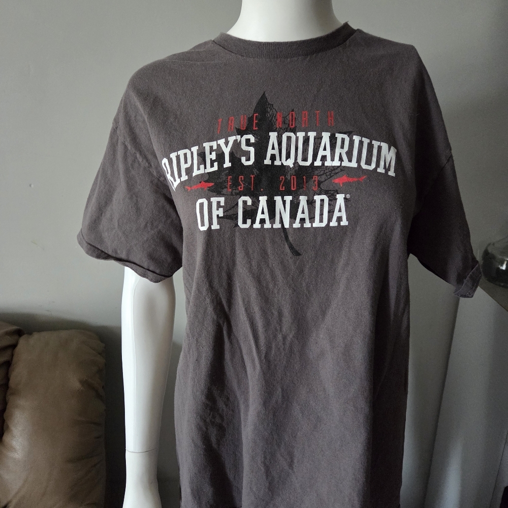 Ripley's Aquarium Graphic Short Sleeve T-Shirt | Large Gray